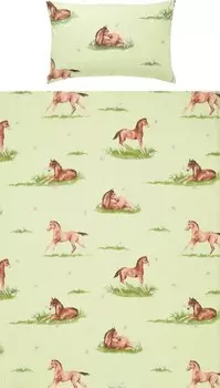 Постельное белье Erwin Mller 206725 2-teilig, 100x1x135 см, зеленый