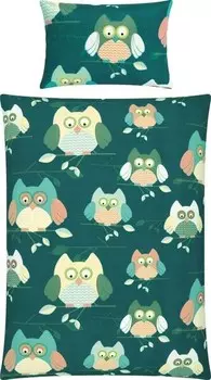 Постельное белье Erwin Mller 208274 2-teilig, 100x1x135 см цвет petrol