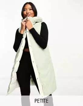 Потертый двусторонний длинный жилет Petite Morticia кремового и шалфейного цвета Threadbare