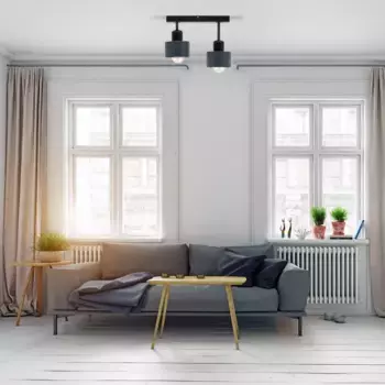 Потолочный светильник Alfalux, серый