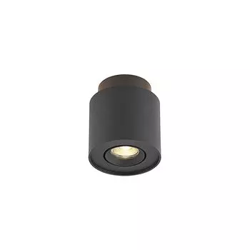 Потолочный светильник Arcchio 'Walisa' черного цвета из алюминия