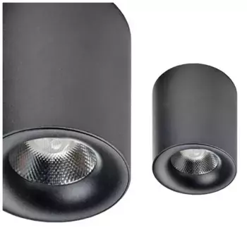 Потолочный светильник AZzardo, черный