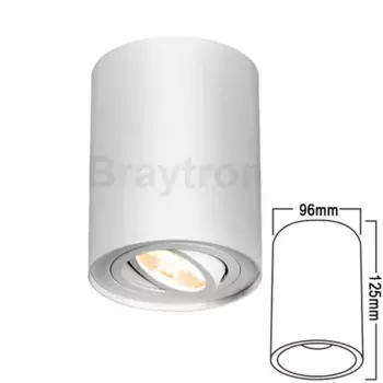 Потолочный светильник Braytron