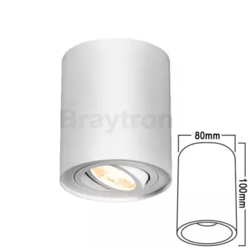 Потолочный светильник Braytron