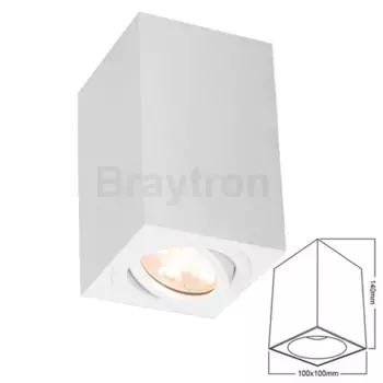 Потолочный светильник Braytron