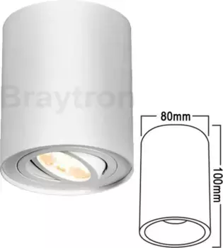 Потолочный светильник Braytron