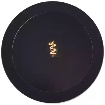 Потолочный светильник BRILLIANT, черный