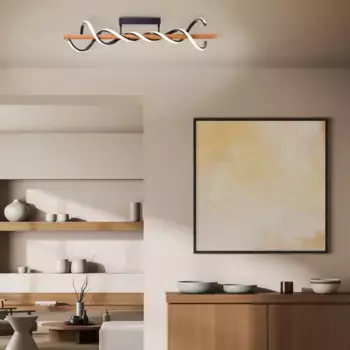 Потолочный светильник BRILLIANT, черный