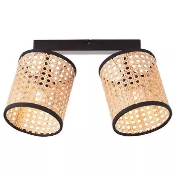 Потолочный светильник Brilliant Wiley