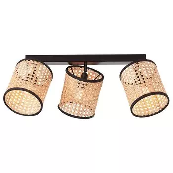 Потолочный светильник Brilliant Wiley