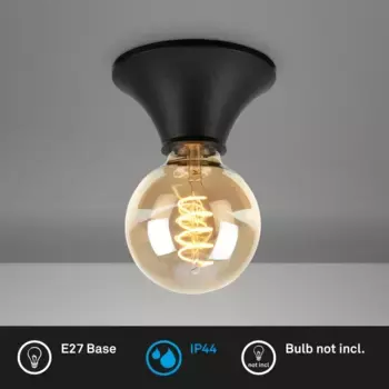 Потолочный светильник Briloner, черный