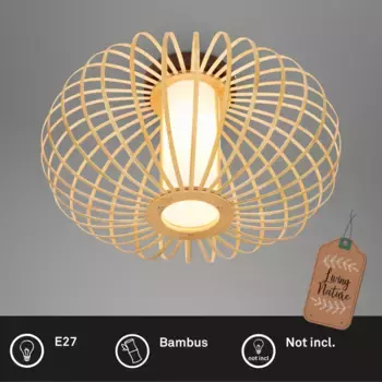 Потолочный светильник Briloner, серый