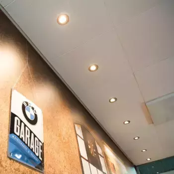 Потолочный светильник DOTLUX