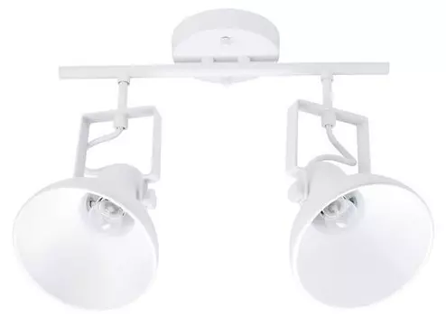 Потолочный светильник Easylight DALLAS, белый