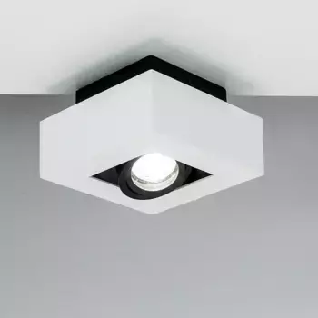 Потолочный светильник EDO