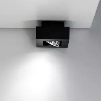 Потолочный светильник EDO