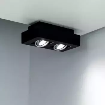 Потолочный светильник EDO