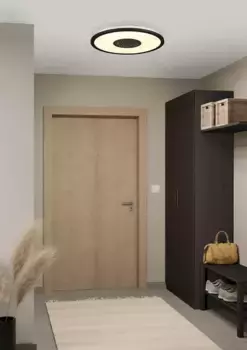 Потолочный светильник EGLO, черный