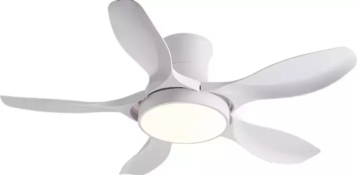 Потолочный светильник Eurotondisplay, белый