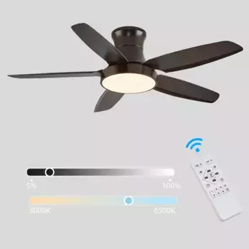 Потолочный светильник Eurotondisplay, черный