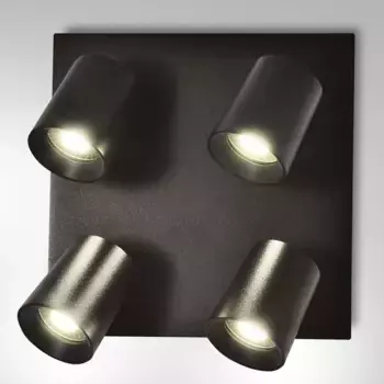 Потолочный светильник FABAS LUCE, черный