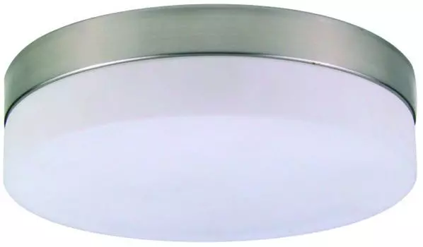 Потолочный светильник Globo Opal матовый никель, 2xE27 ILLU; 48402 Globo Lighting, серебро