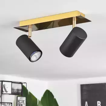 Потолочный светильник Hofstein