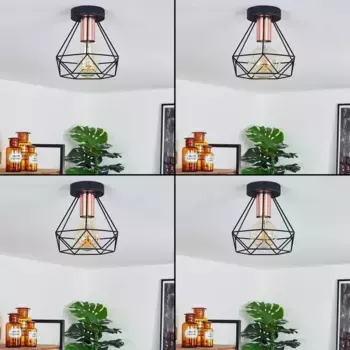 Потолочный светильник Hofstein