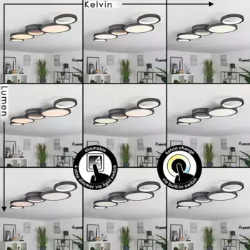 Потолочный светильник Hofstein