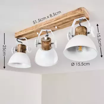 Потолочный светильник Hofstein