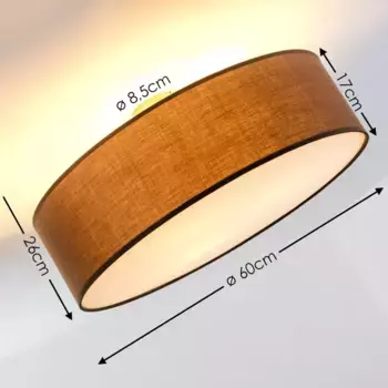 Потолочный светильник Hofstein