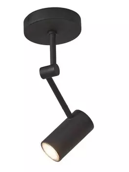 Потолочный светильник it's about RoMi Montreux, черный