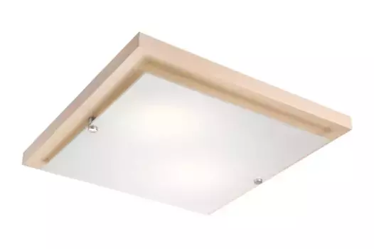 Потолочный светильник Lamkur