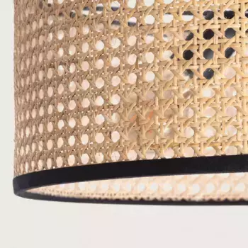 Потолочный светильник LEDKIA