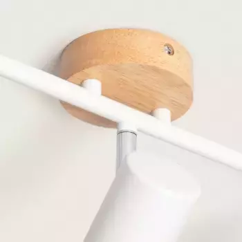 Потолочный светильник LEDKIA