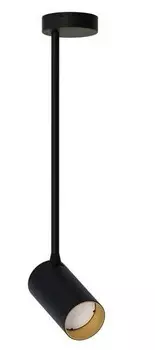 Потолочный светильник Licht-Erlebnisse COLENE, черный/золотой