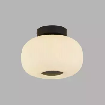 Потолочный светильник Licht-Erlebnisse, цвет Bunt