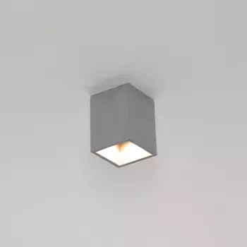 Потолочный светильник Licht-Erlebnisse, серый