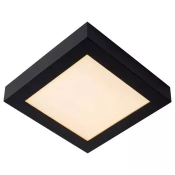 Потолочный светильник Lucide BRICE-LED, черный