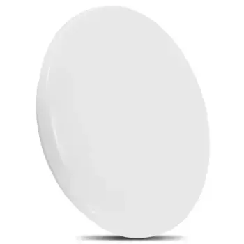 Потолочный светильник Maclean