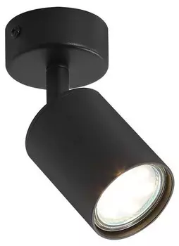 Потолочный светильник Nettlife Freiheit 1-flammig, черный