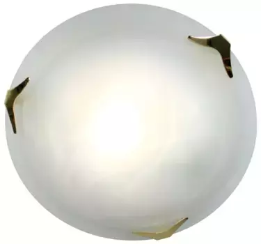 Потолочный светильник Nve