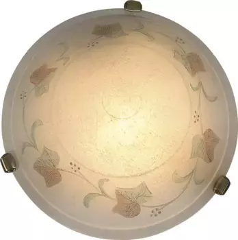 Потолочный светильник Nve