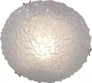 Потолочный светильник Nve