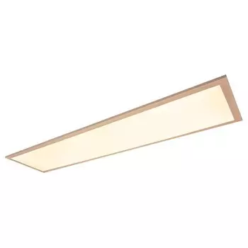 Потолочный светильник Nve Begau