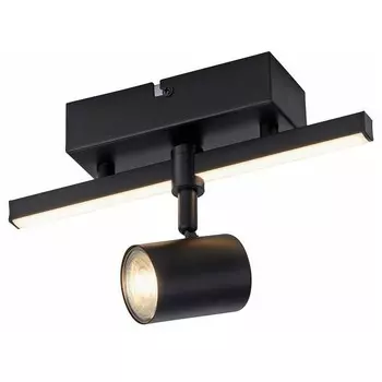 Потолочный светильник Paul Neuhaus Barik, черный