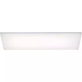 Потолочный светильник Paul Neuhaus «FRAMELESS», 1 лампочка, источник света Светодиодная панель | Прочно встроенный светодиод, функция изменения цвета (RGB), теплый белый, безрамочный, регулировка яркости с помощью пульта дистанционного управлени...