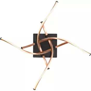 Потолочный светильник Paul Neuhaus «POLINA», 4 пламени, источник света Светодиодная панель | Постоянно встроенный светодиод, LED, Simply Dim, черный