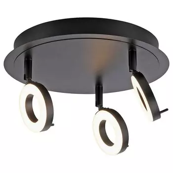 Потолочный светильник Paul Neuhaus Siloma, черный