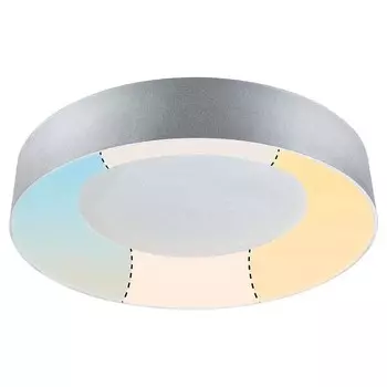 Потолочный светильник Paulmann Casca, серебряный